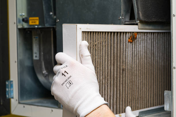 Best Dryer Vent Cleaning Services  in Lakeville, MN