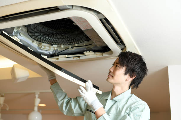 Best Air Duct Mold Removal  in Lakeville, MN