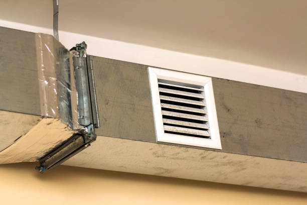 Best Affordable Duct Cleaning Services  in Lakeville, MN